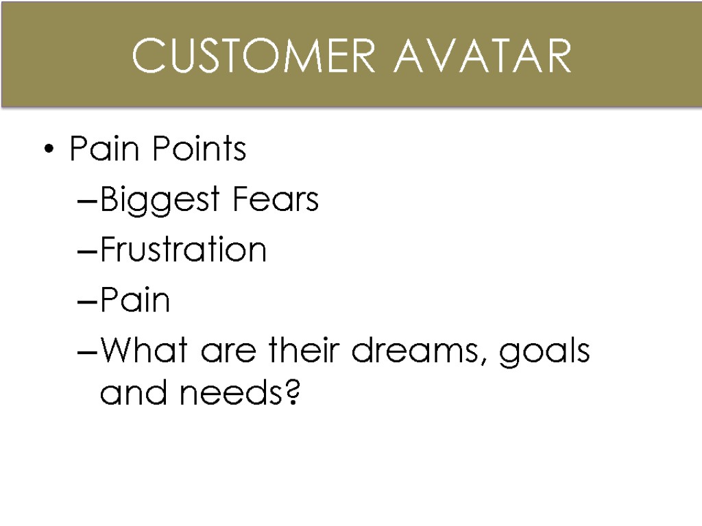 Pain Points Biggest Fears Frustration Pain What are their dreams, goals and needs? CUSTOMER